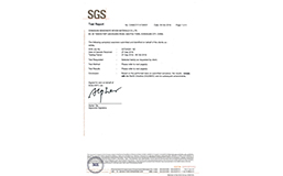 sgs检测报告1